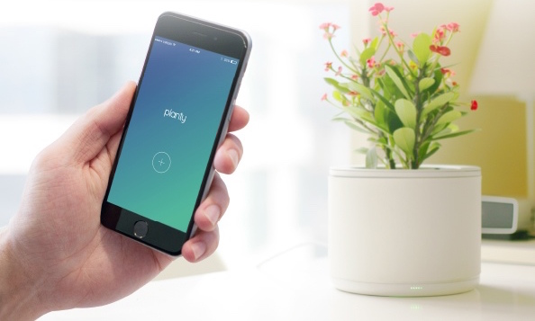 Planty: Smarter Blumentopf bewässert per Smartphone-Befehl