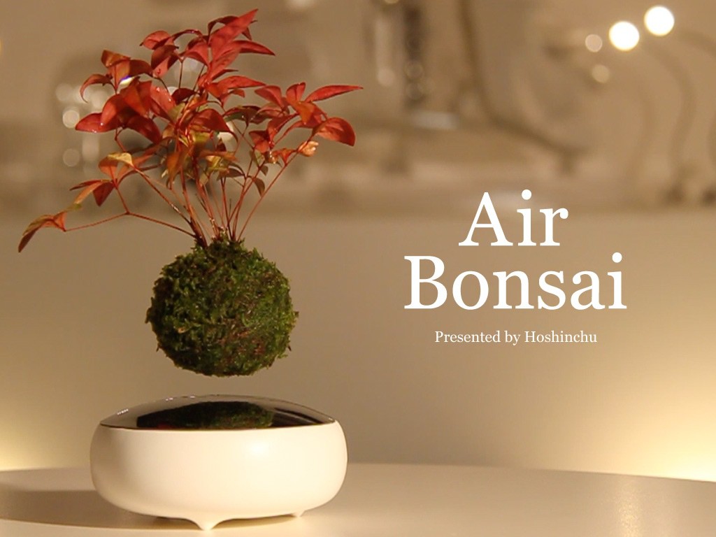 air bonsai 3 1024x768