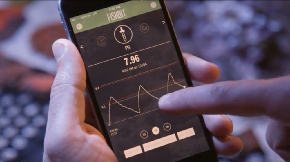 Fishbit macht dein Aquarium smart für die Zukunft