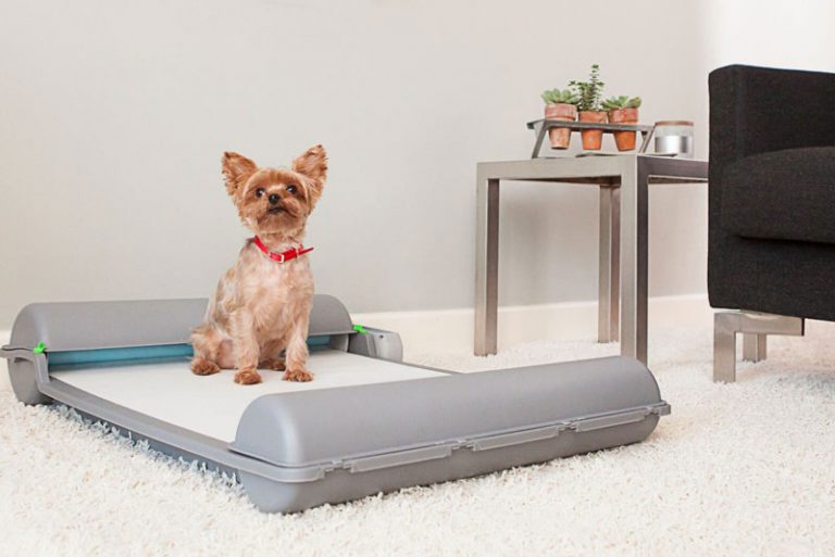 BrilliantPad Selbstreinigendes Hundeklo für Zuhause