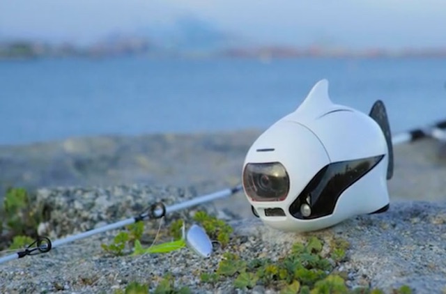 BIKI ist die erste bionische Unterwasser-Fisch-Drohne