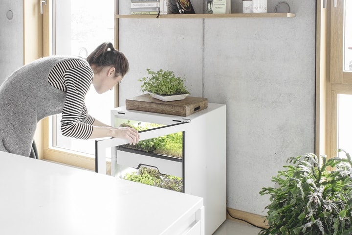 Anzeige: plantCube von agrilution bringt Smart Gardening nachhause