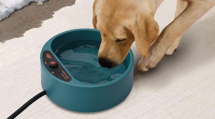 Beheizter Wassernapf mit Hund