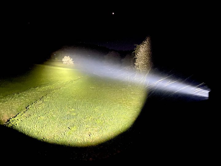 Lichtstrahl leuchtet im Dunkeln auf einen Baum auf einer Wiese