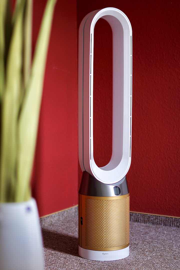 Dyson Pure Cool Cryptomic steht neben einer Pflanze vor einer roten Wand