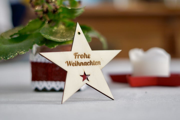 Stern mit Frohe Weihnachten Gravur vor einer Pflanze