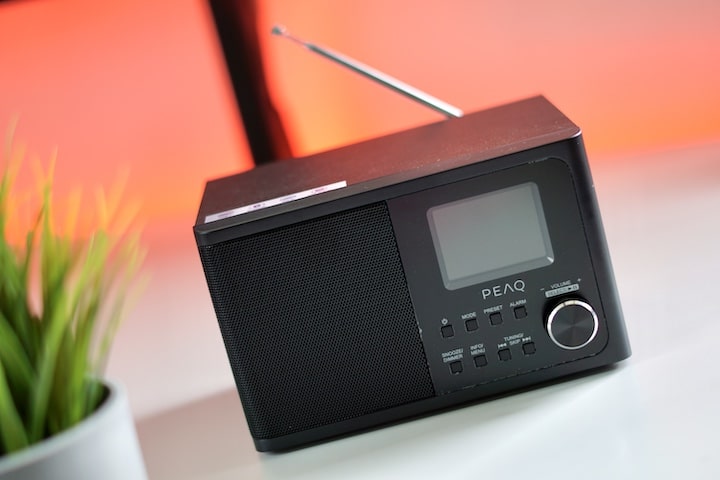 PEAQ PDR 170 BT B Radio steht nebn einer Pflanze