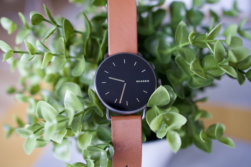 Skagen Falster Gen 6 auf Pflanze