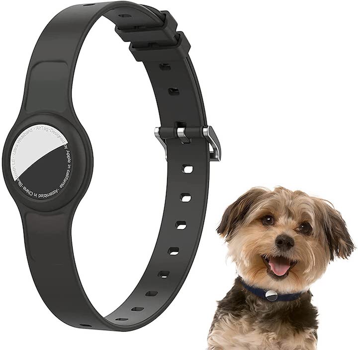 Hund mit Armband und Tracker Integration