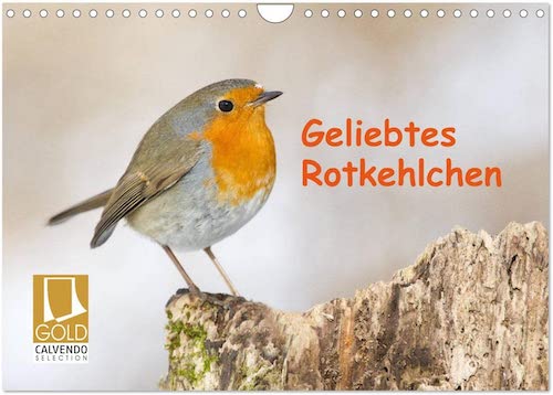 Geschenkidee für Vogelfreunde Wandkalender mit Rotkehlchen