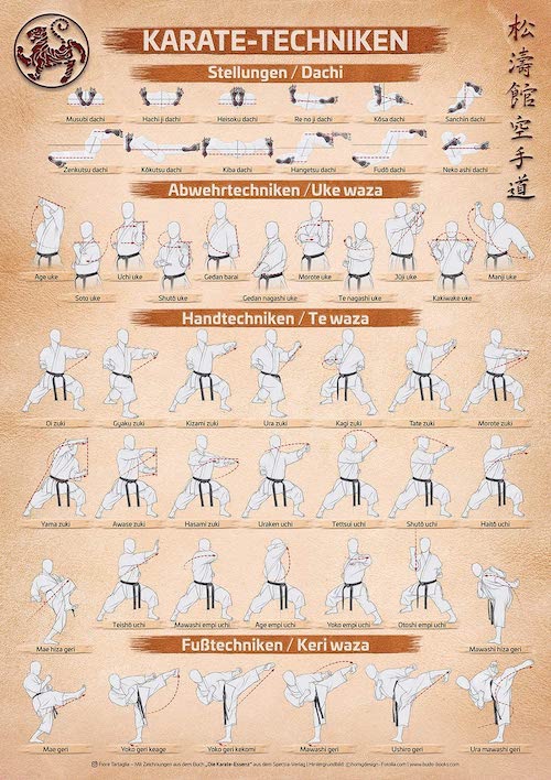 Karate Technik Poster
