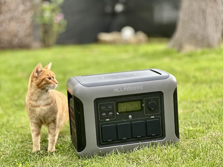 Katze neben einer Powerstation