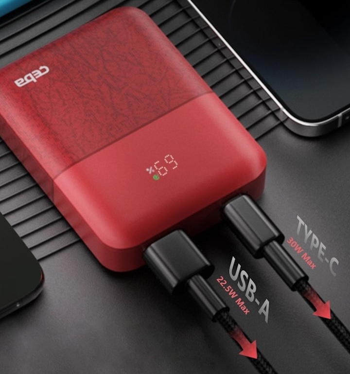 Zwei Kabel an einer Powerbank