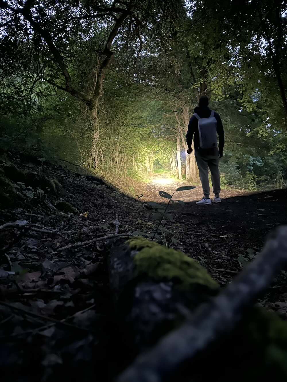 fernlicht p21r