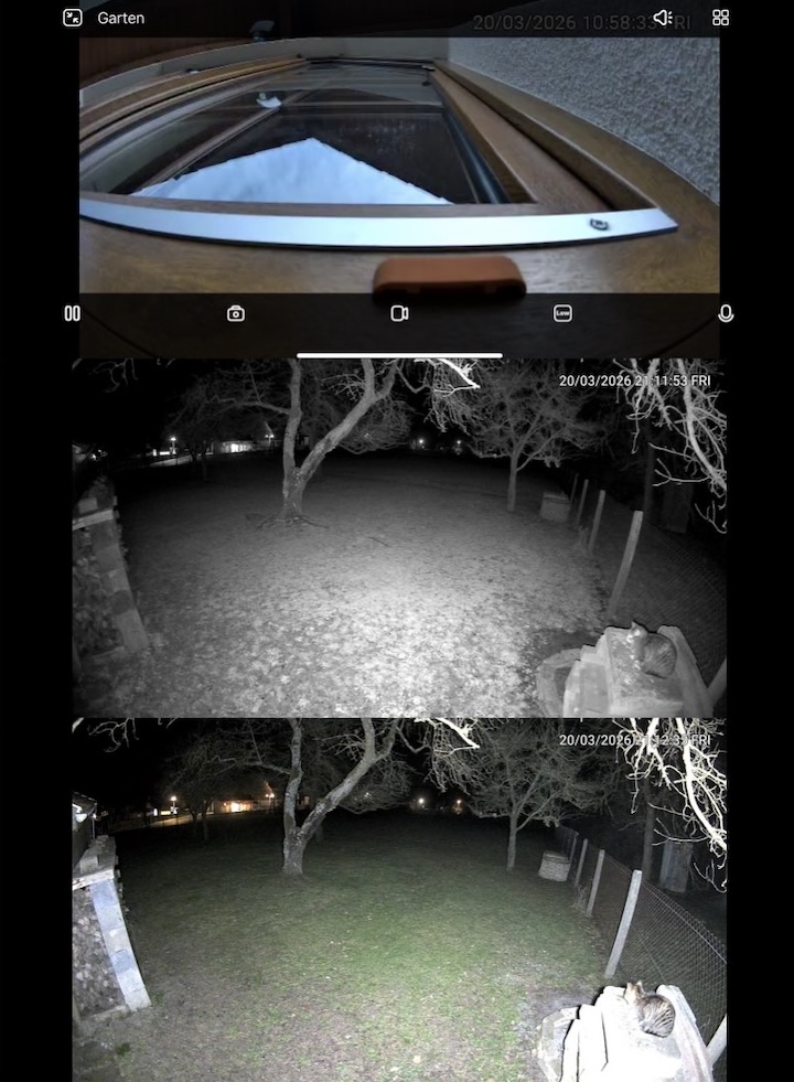 Reolink Solar Floodlight Cam: Flutlicht und Security Kamera Reolink App Screenshot mit Aufnahmen