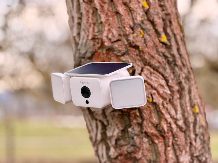 Reolink Solar Floodlight Cam: Flutlicht und Security Kamera Reolink Solar Floodlight Cam an einem Baum