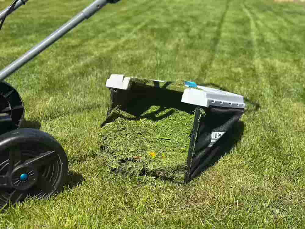 gefuellter fangkorb mit rasenschnitt