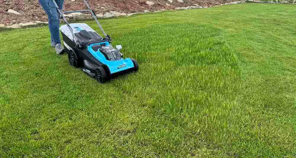 rasenmaeher auf dem rasen