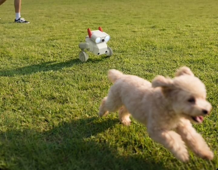Beni Kameraroboter: Autonomer Kamera-Roboter für kreative 4K-Aufnahmen? Beni Kameraroboter verfolgt Hund